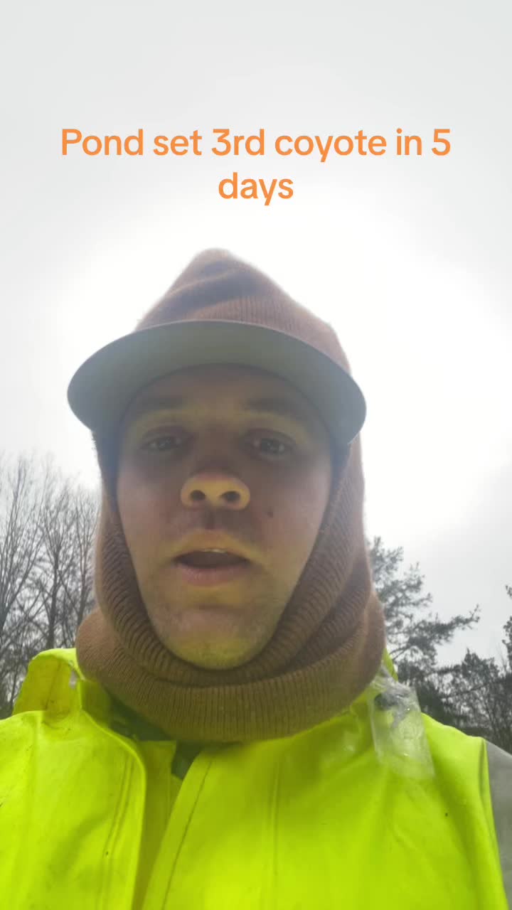 @sginn10