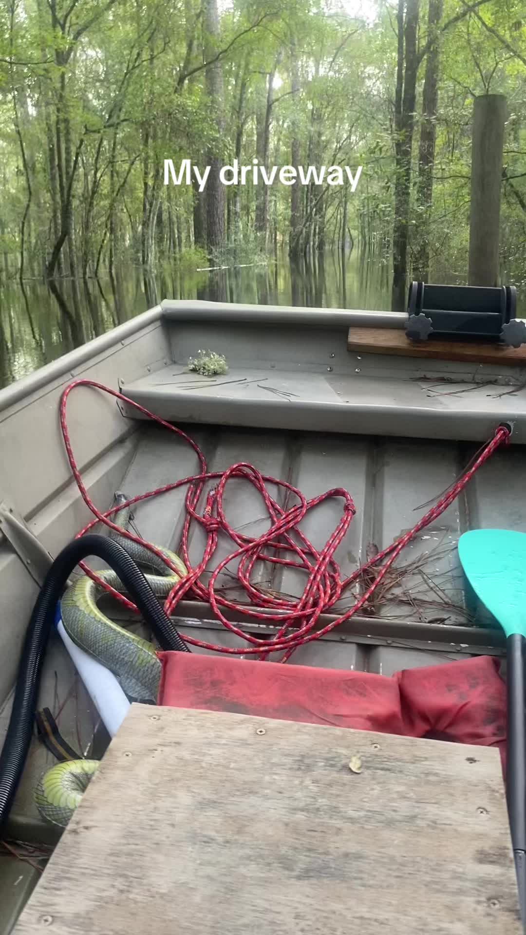 @Satilla River king