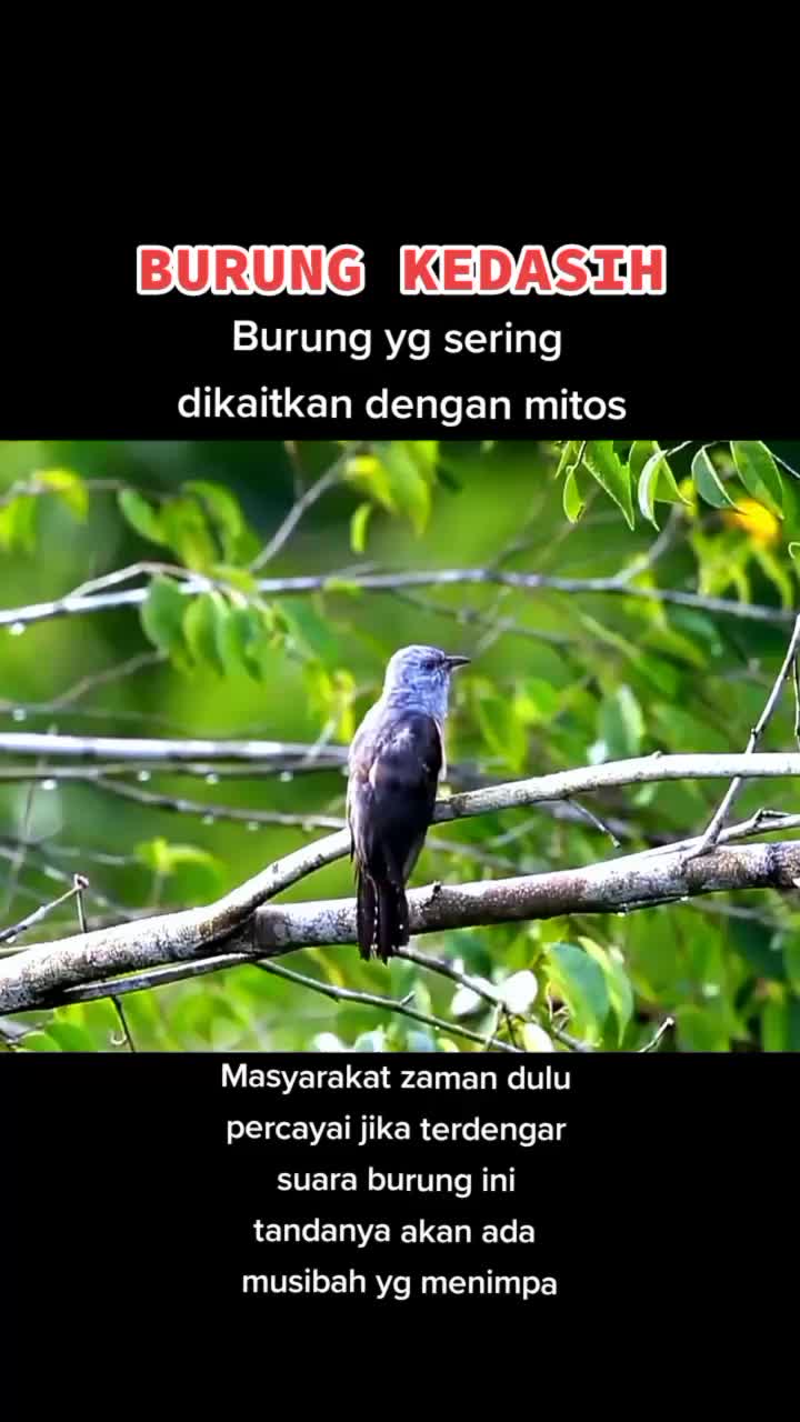 @KAPTEN