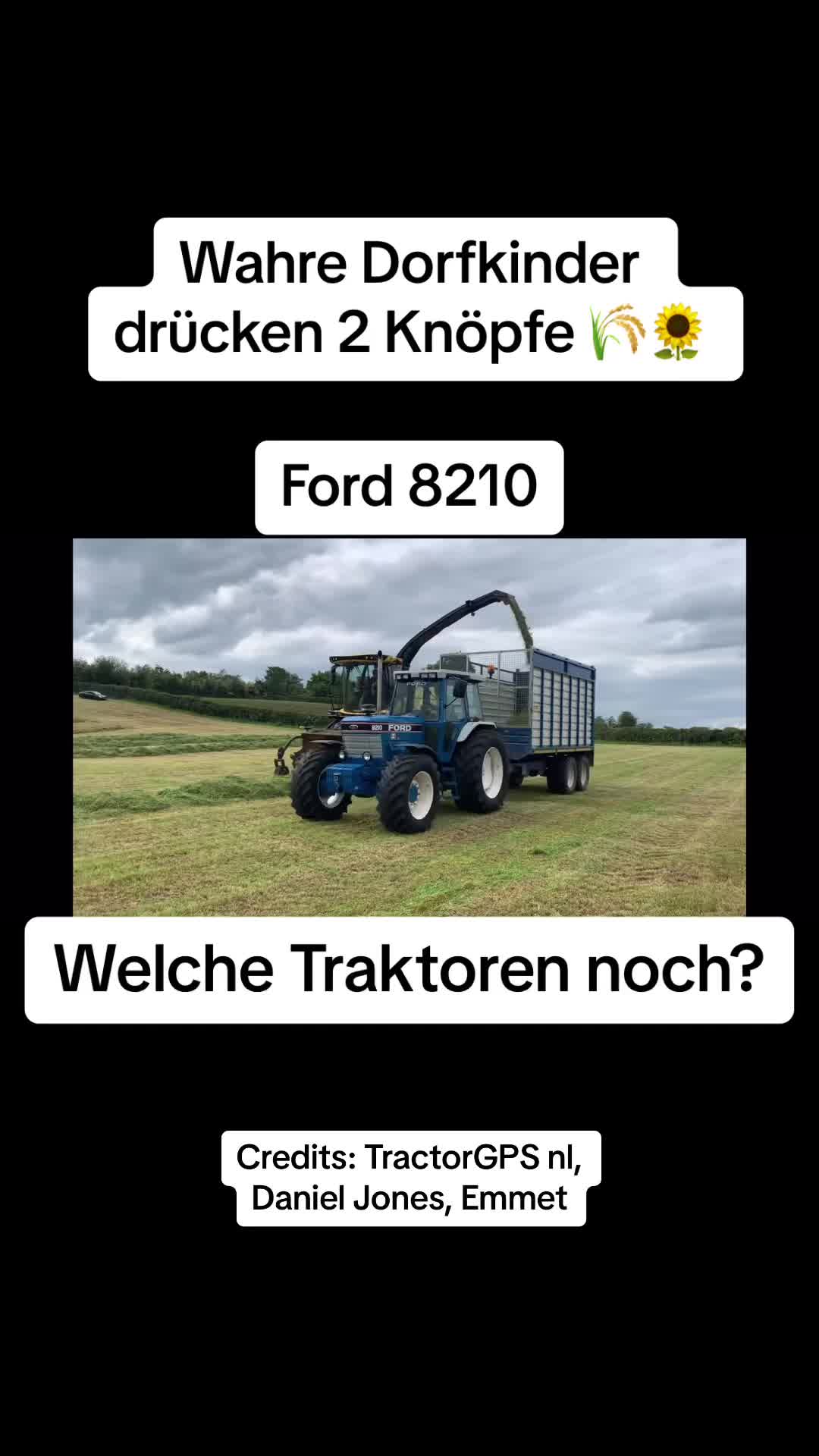 @Dorfkind