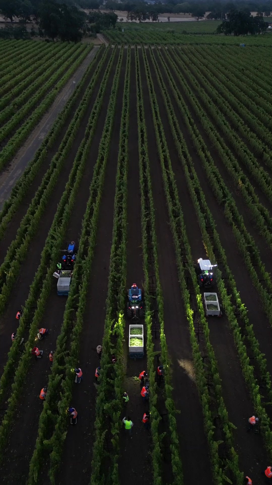 @WineCountryDrone