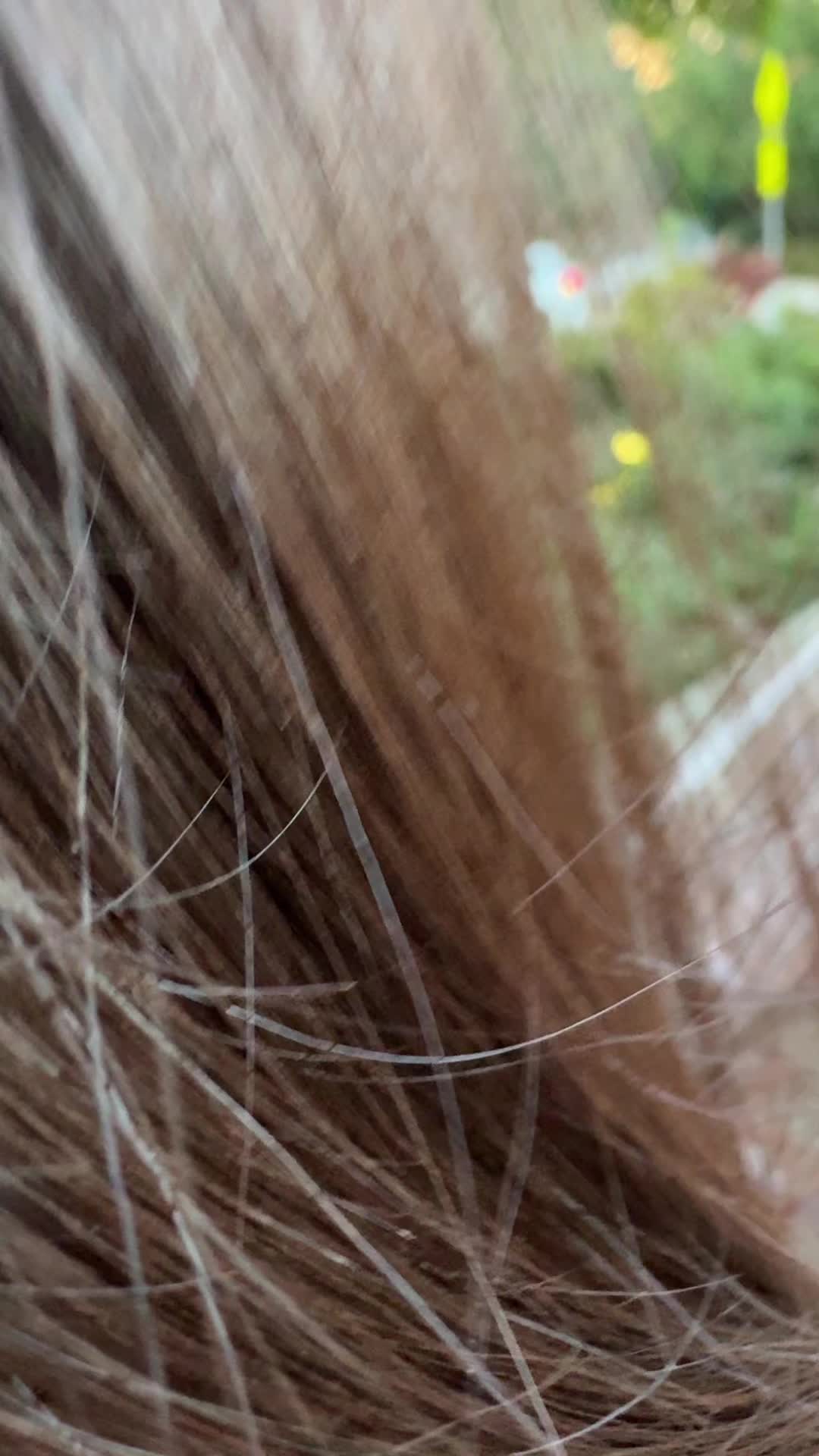 @maricela.gt💫🌻