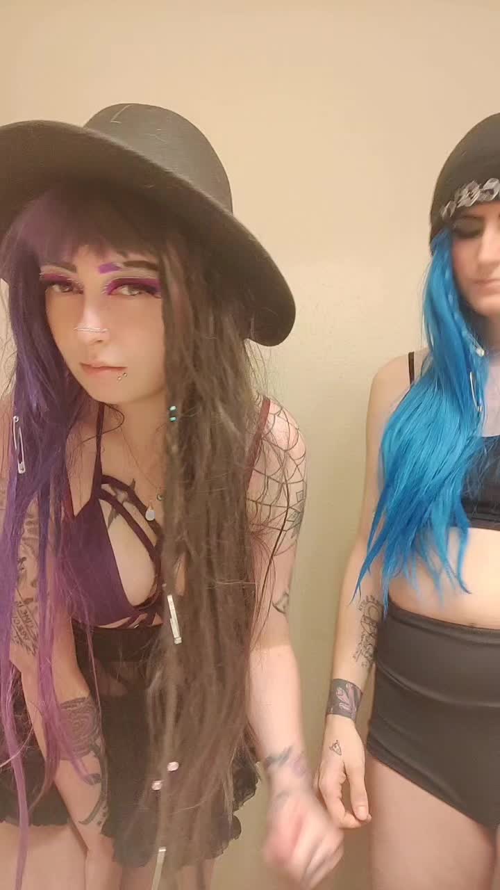 @Kitten 🐈💓🌺