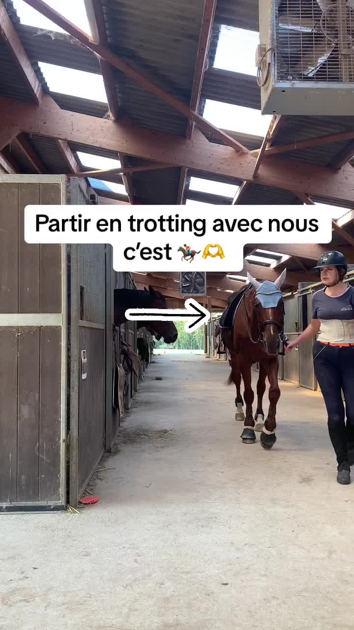 @Rolly&compagnie