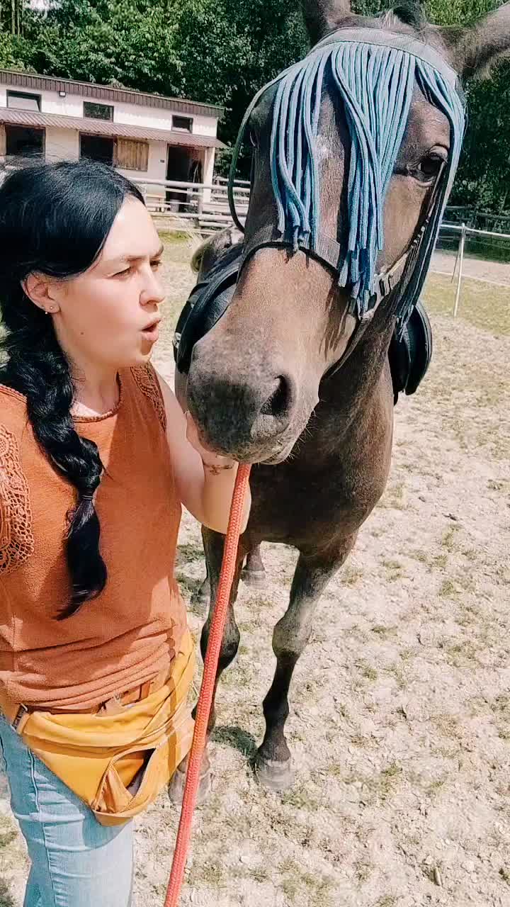 @tam.het.za.lasem
