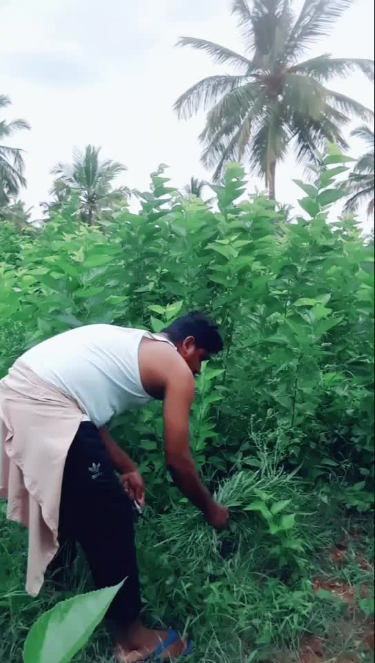 @❤ಮುಗ್ಧಹಳ್ಳಿ ಹೈದ ❤