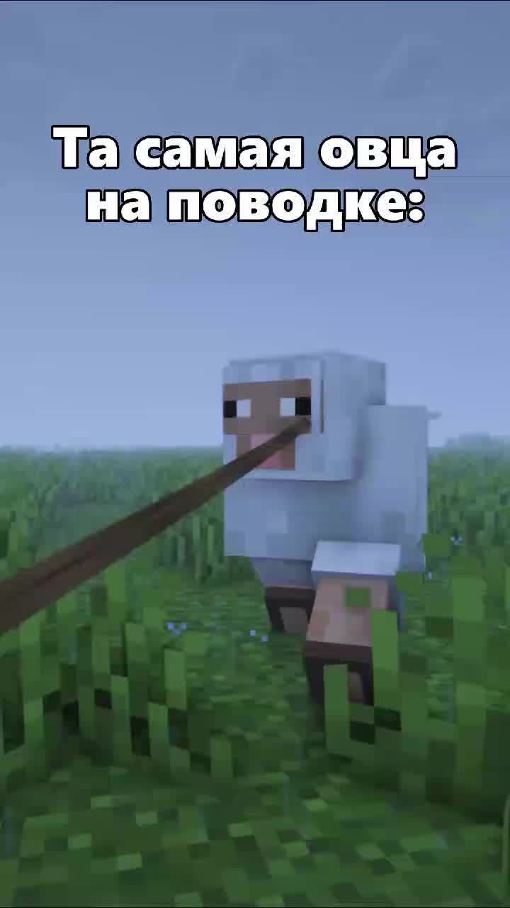 @NekoShield