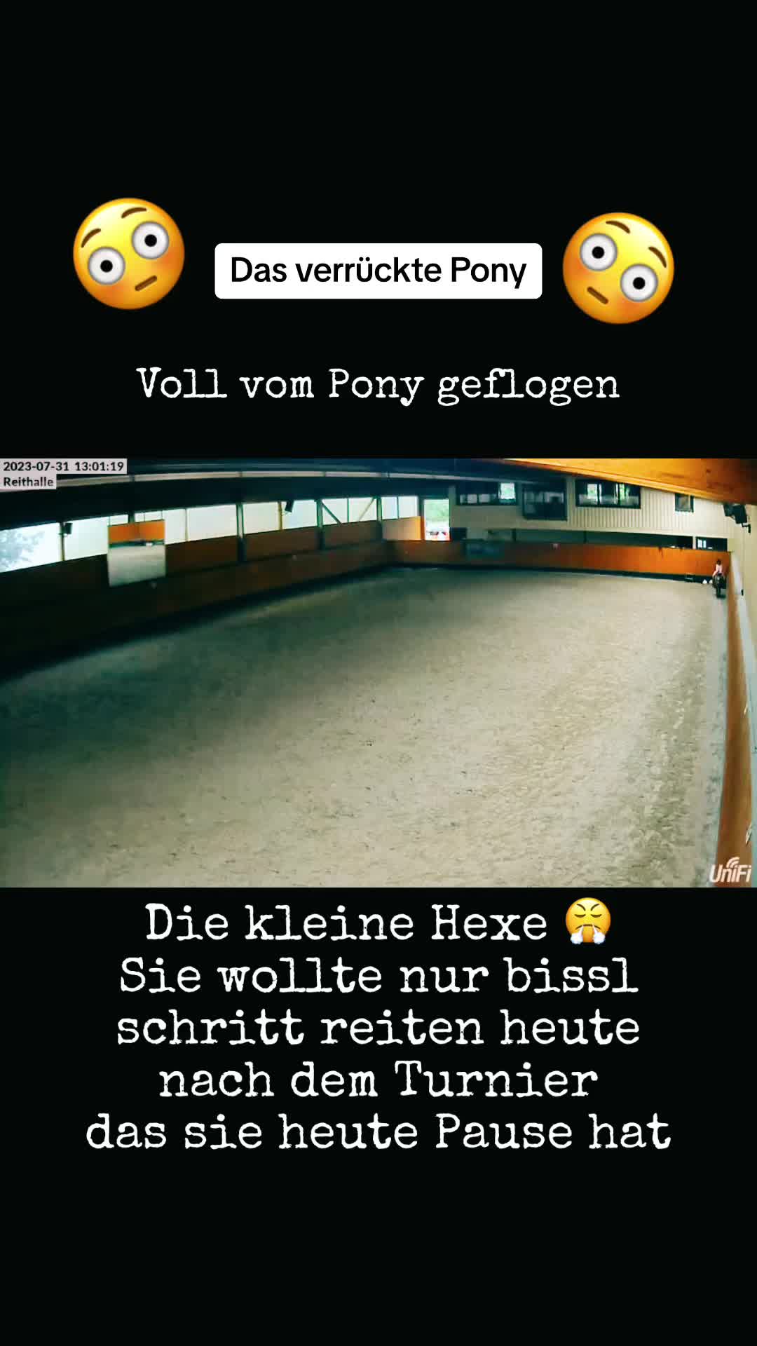 @Shanea & ihre Ponys ♥️🐴