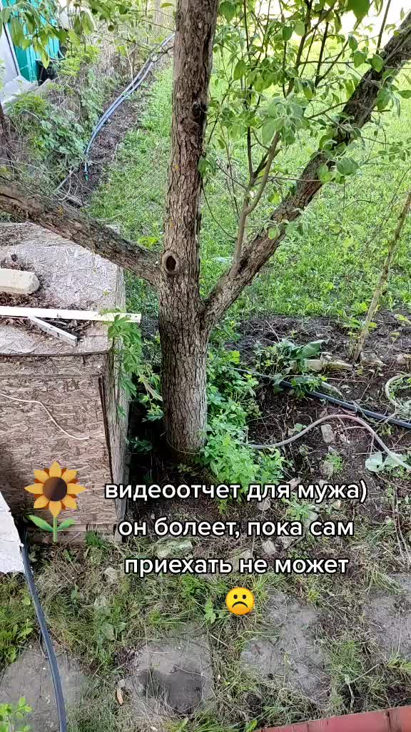 @Мария Малкова