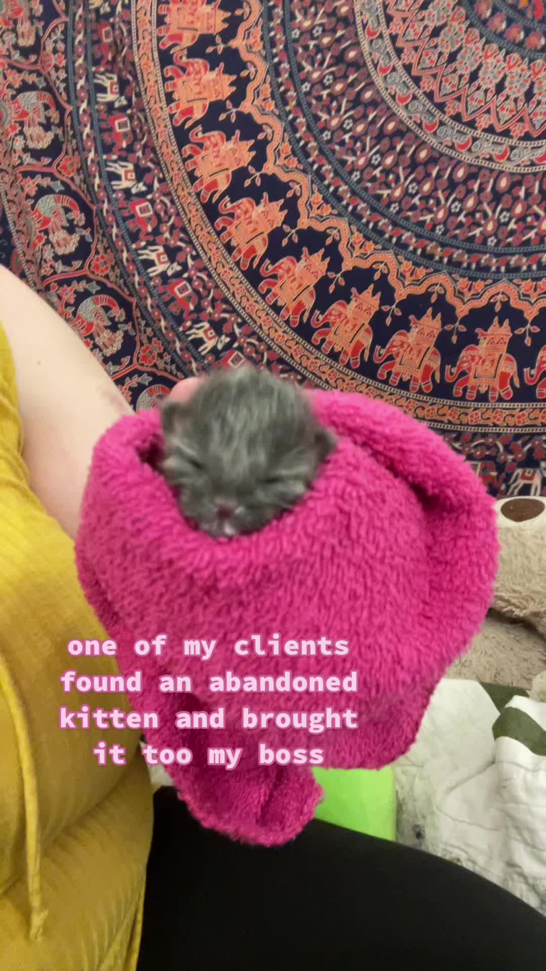 @scoopygirl