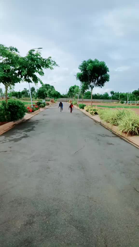 @Manjula B M