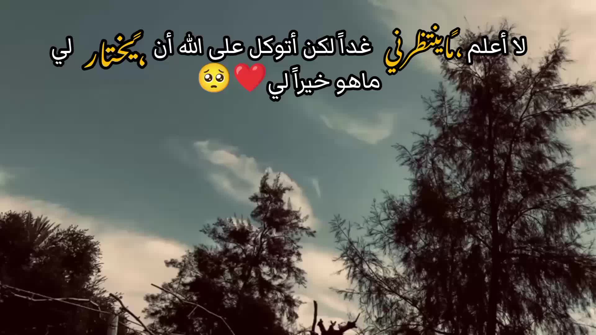 @〰️آاب عــ✎͜͡𝄠ـلاء🆕