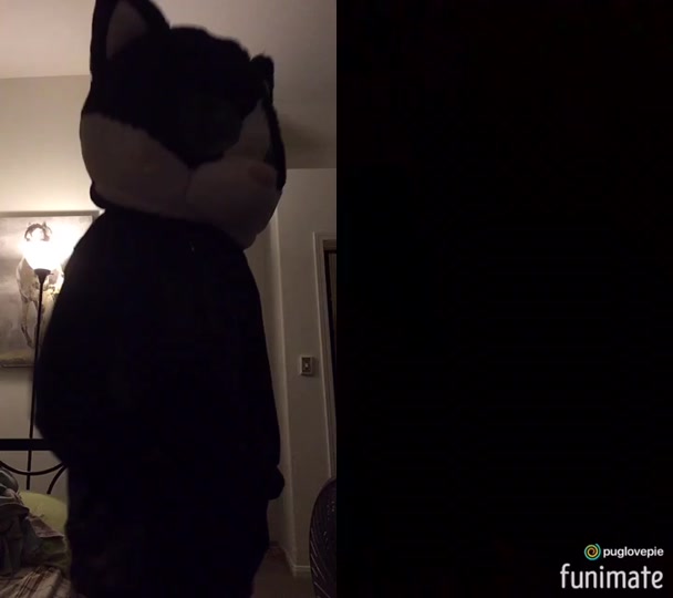 @gay.cat.furry