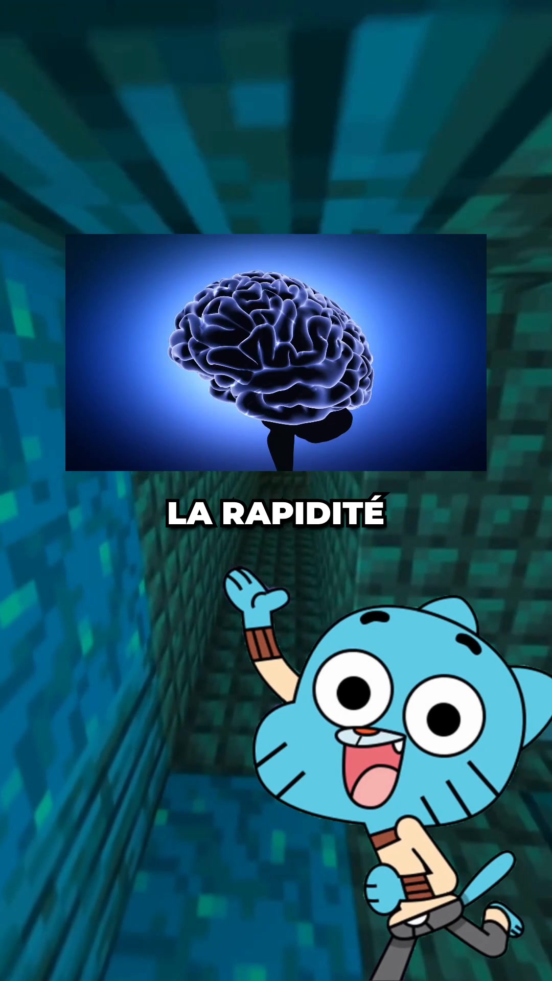 @Darwin&Gumball