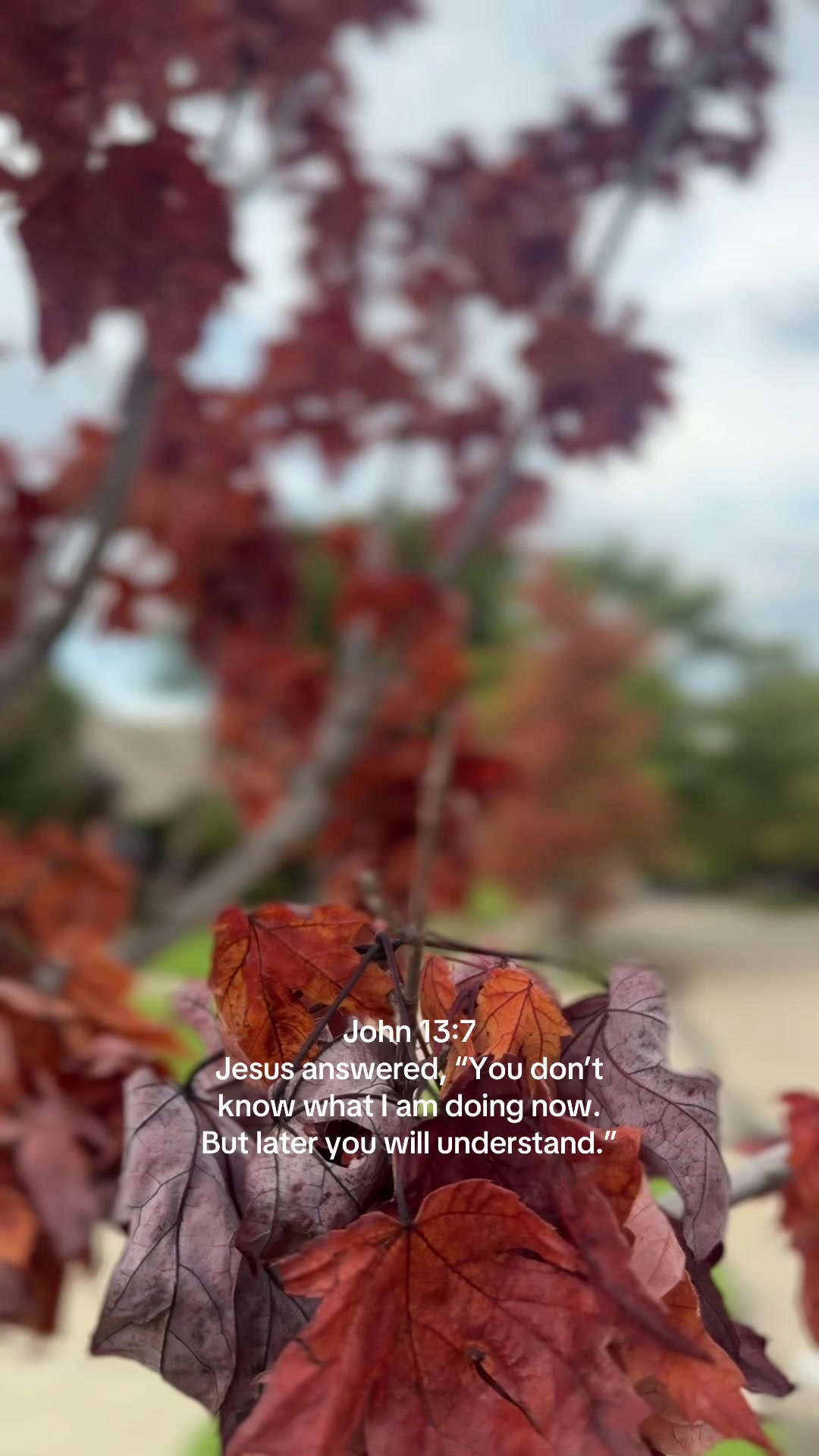 @Bri Sandoval