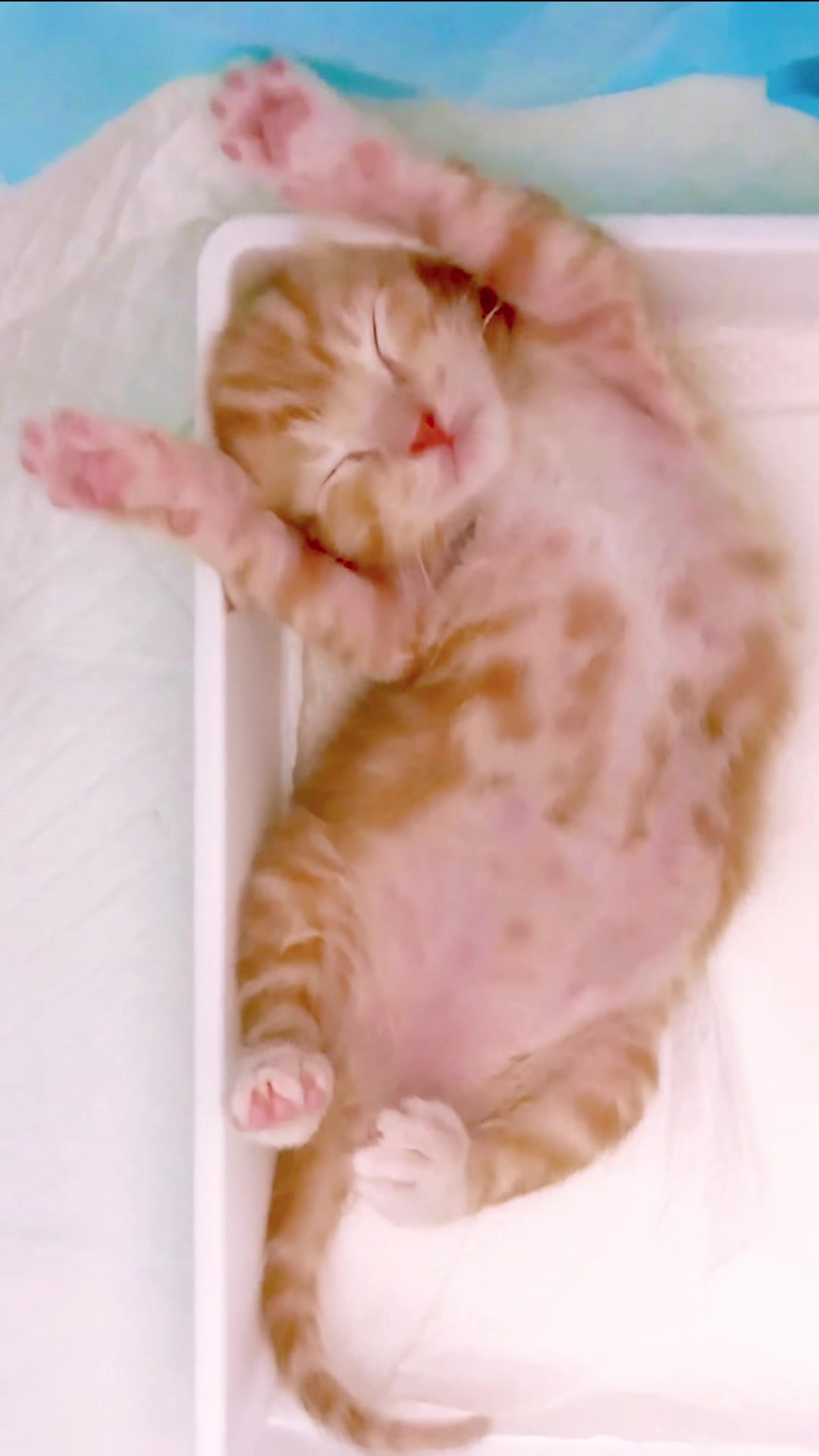 @interestinglilcreature