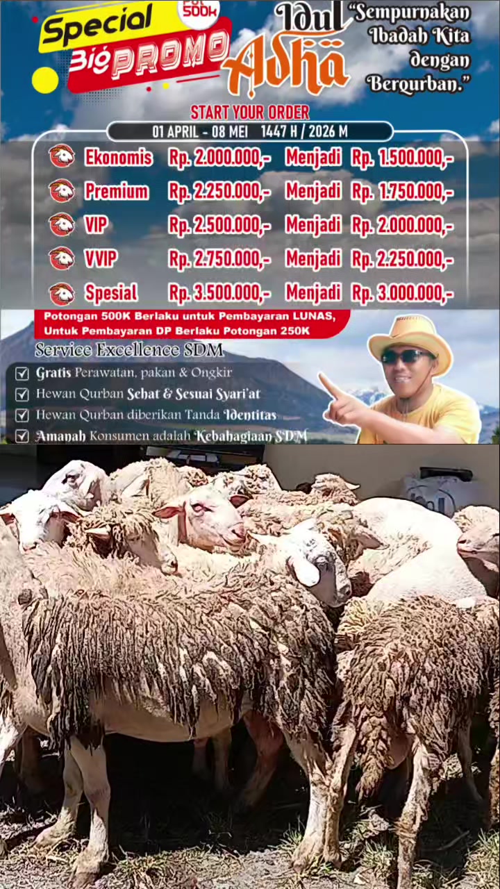 @SDM sarang Domba mayang