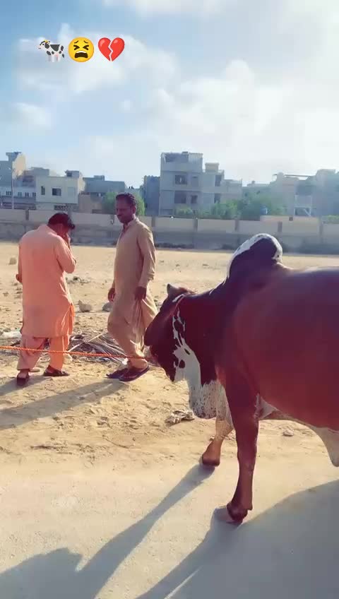 @KHAN......😎🔥