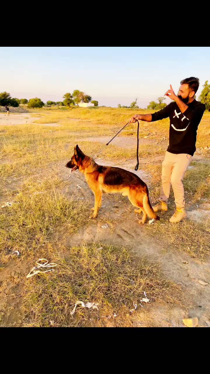 @mani-07