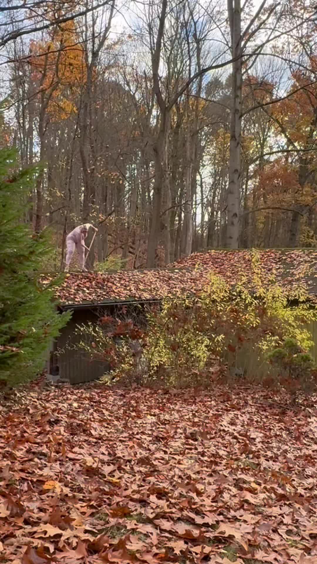 Cozy Cabin mom (@cozycabinmom) - Urlebird