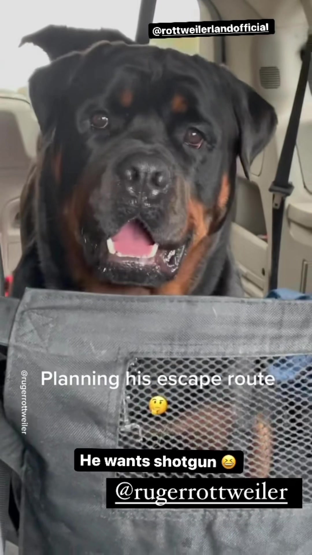 @RottweilerRuger