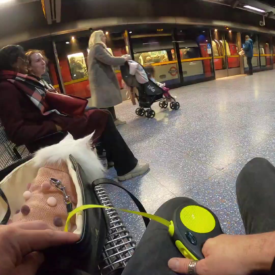 @Travis and Sigrid