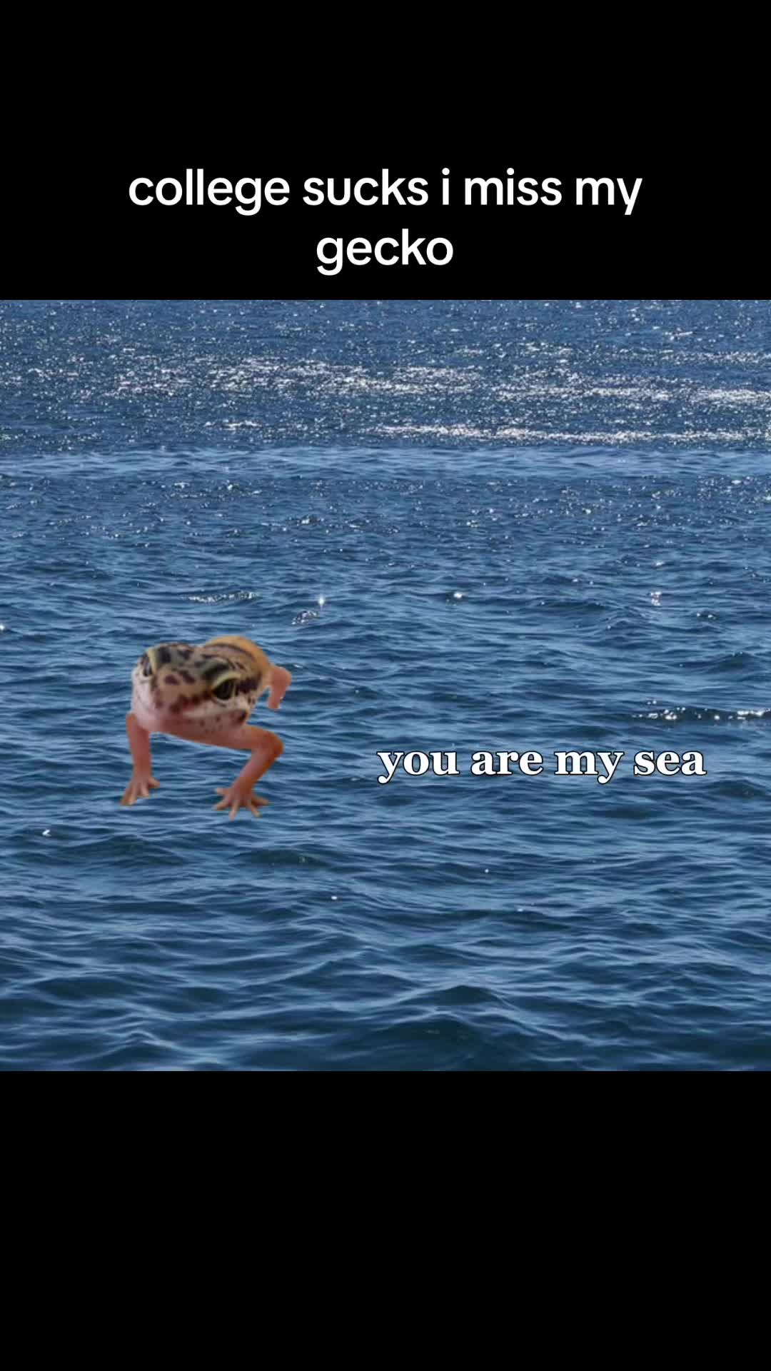 @audrey