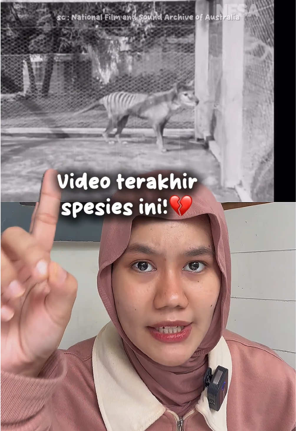 @marinasea