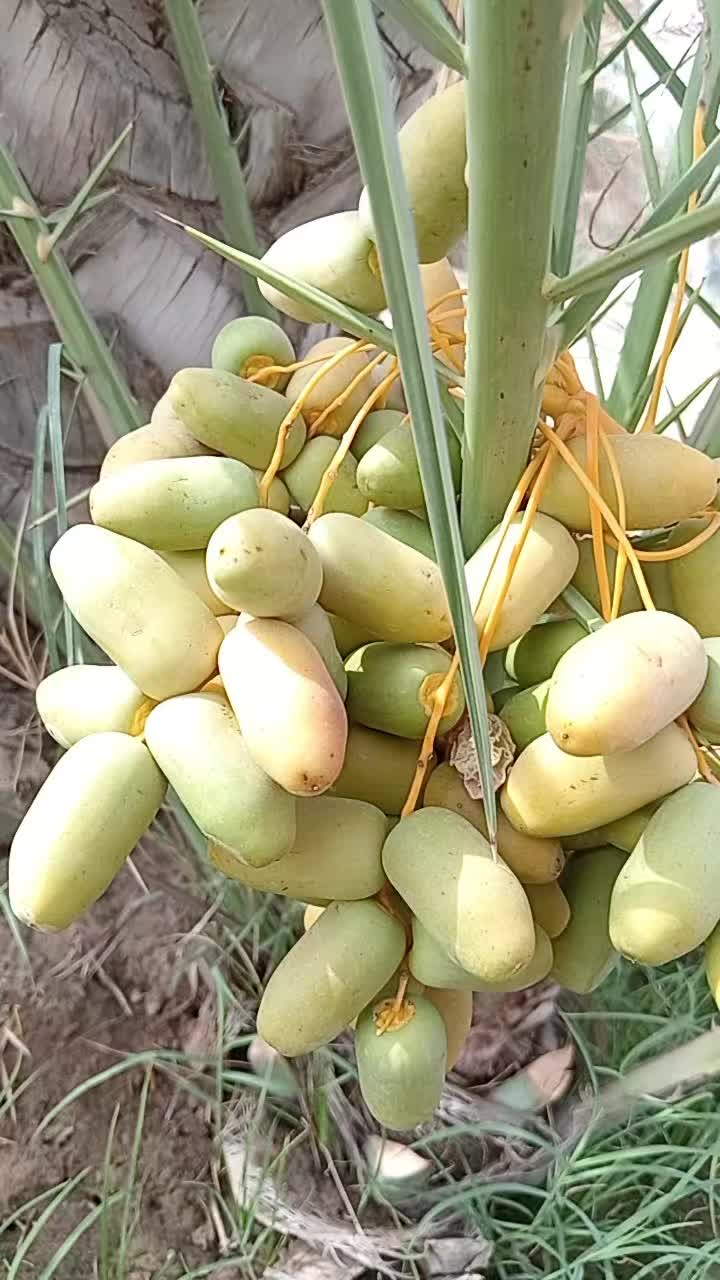 @আমিহীন দুনিয়া 😥😥😥☝️☝️000