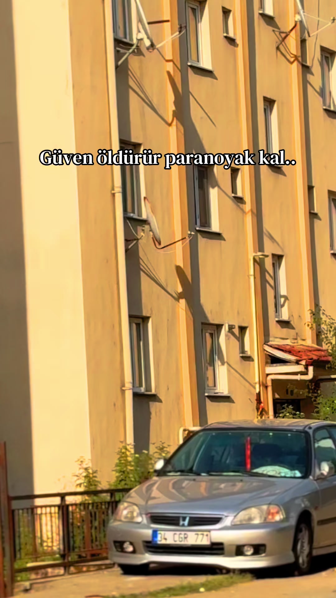 @Doğanay Alag&ouml;z
