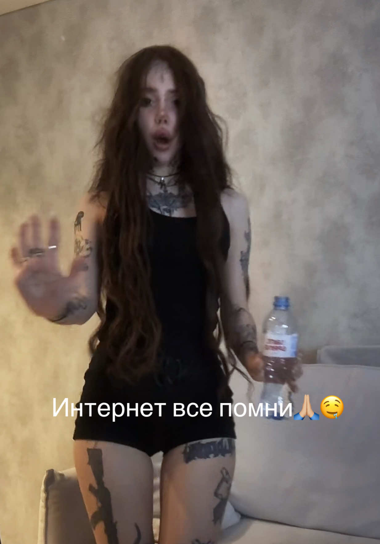 @imLapahapa 🐾
