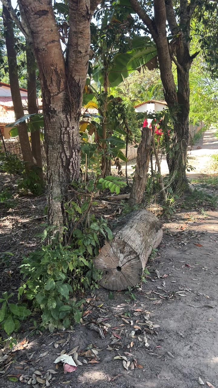 @Adão Oficial