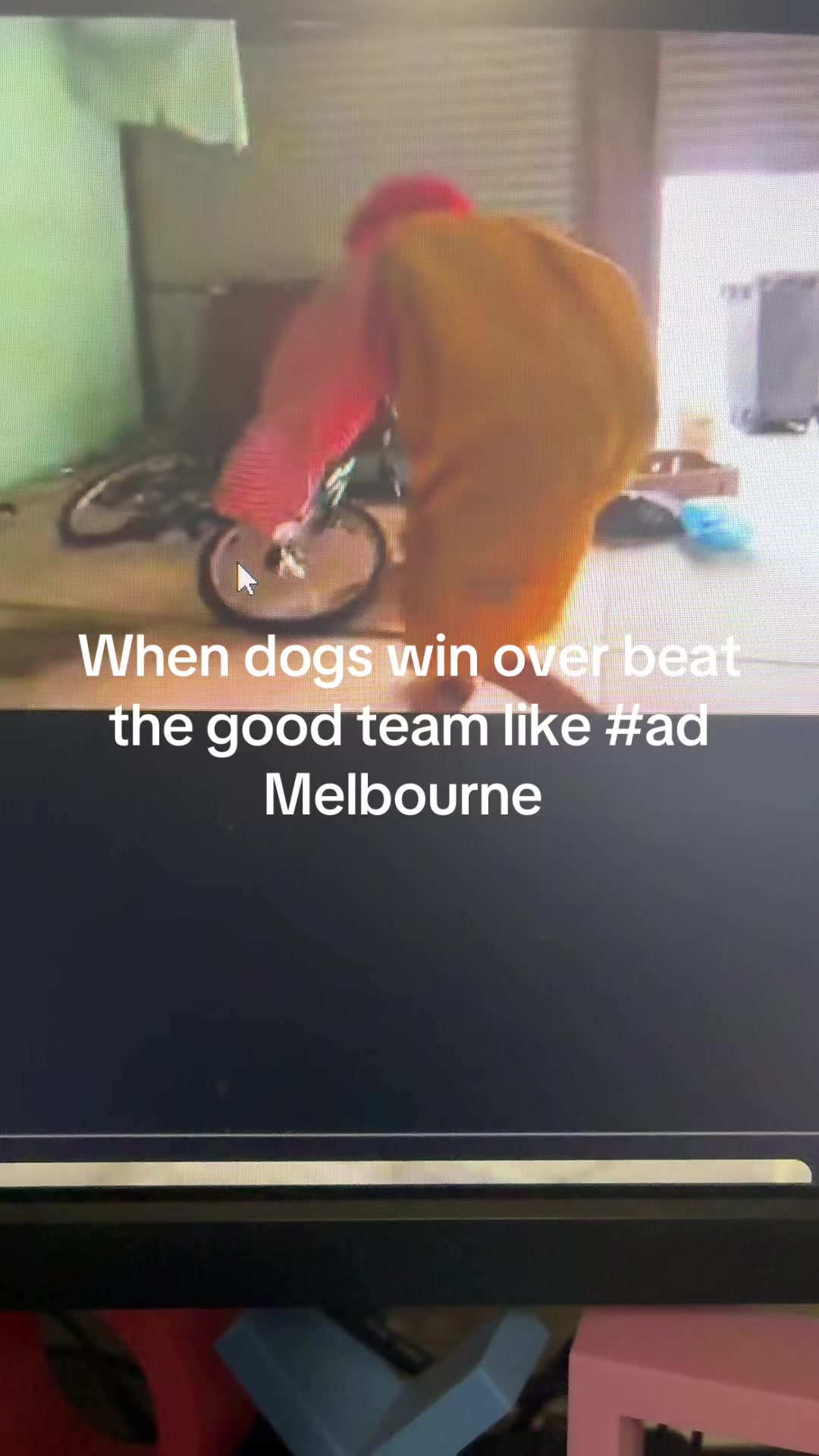 @X2mitch