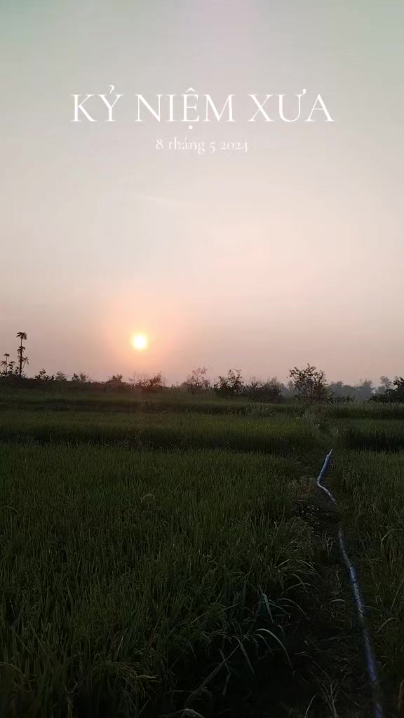 @@Ama &yacute;