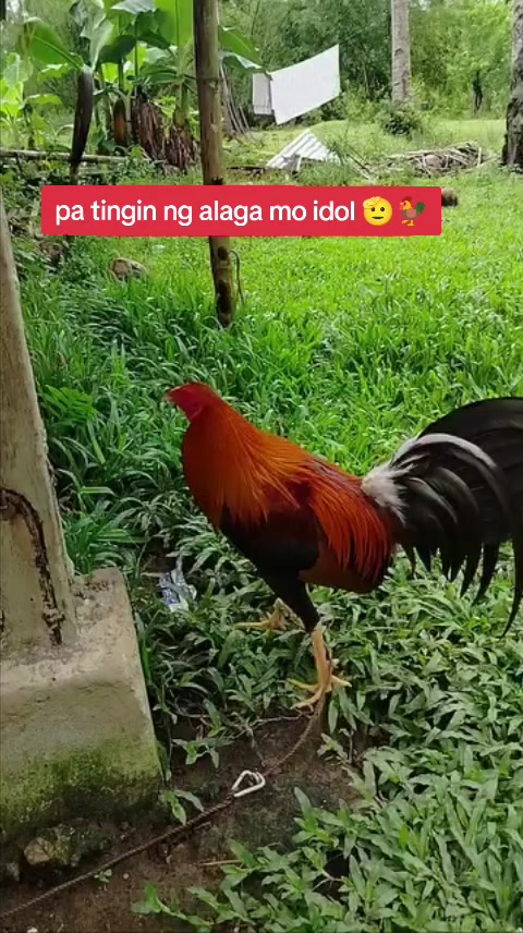 @West Garcia