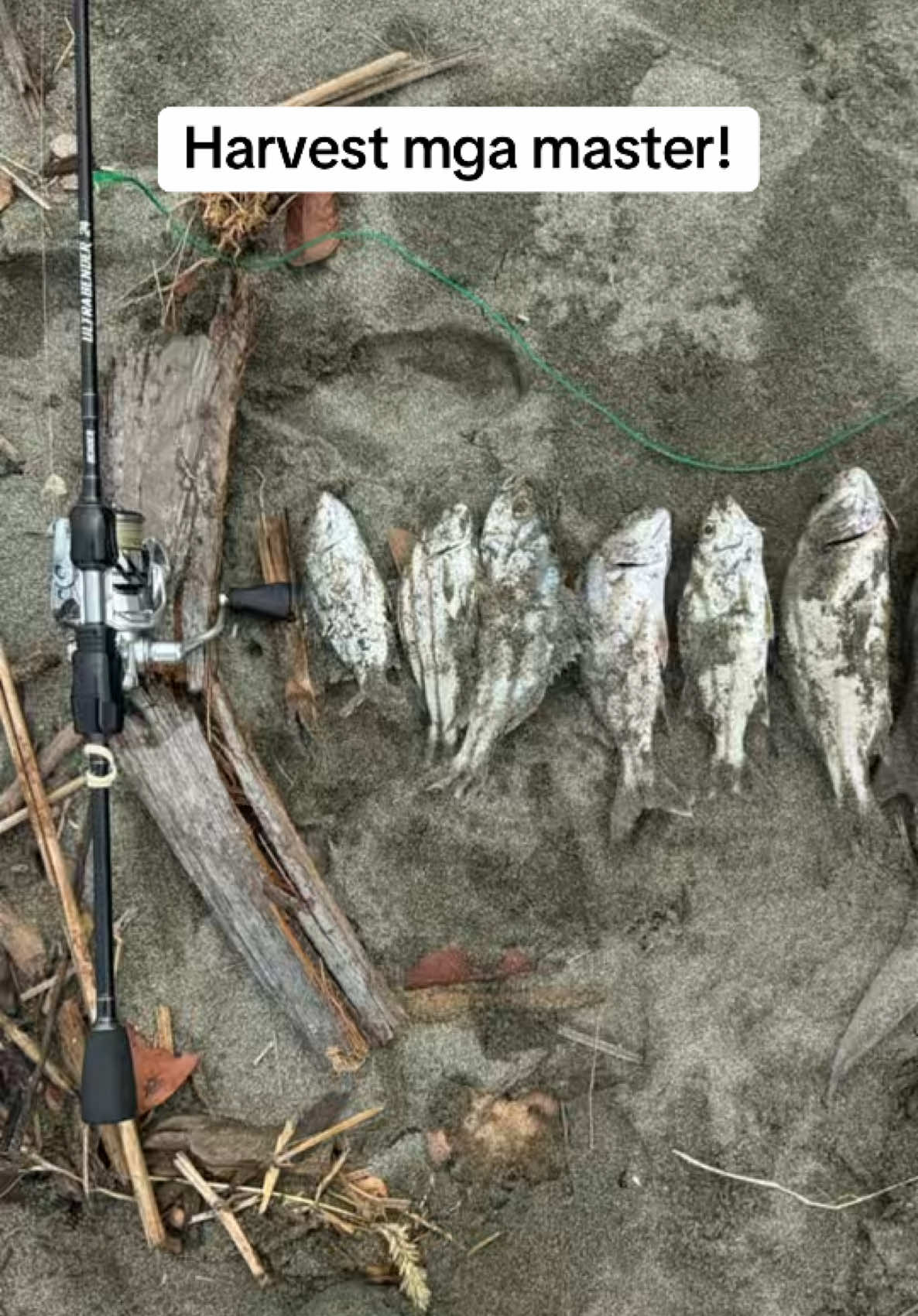 @Wilmer’s Fishing Adventure