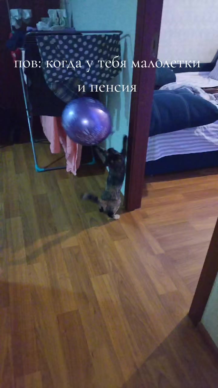 @KATERINA