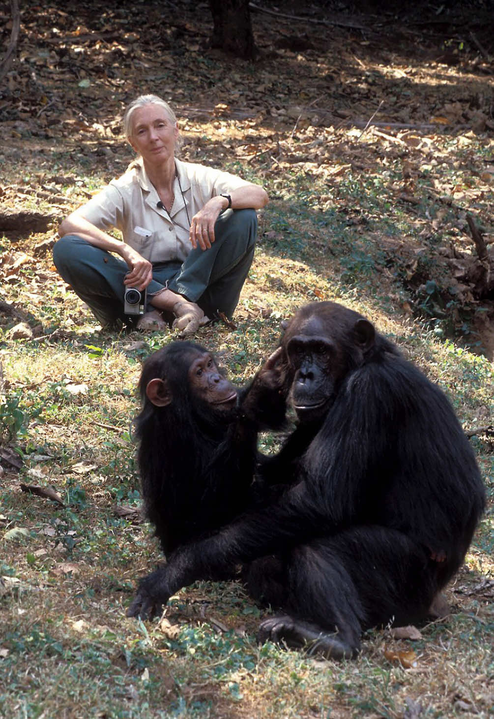@Jane Goodall Institute 🇨🇦
