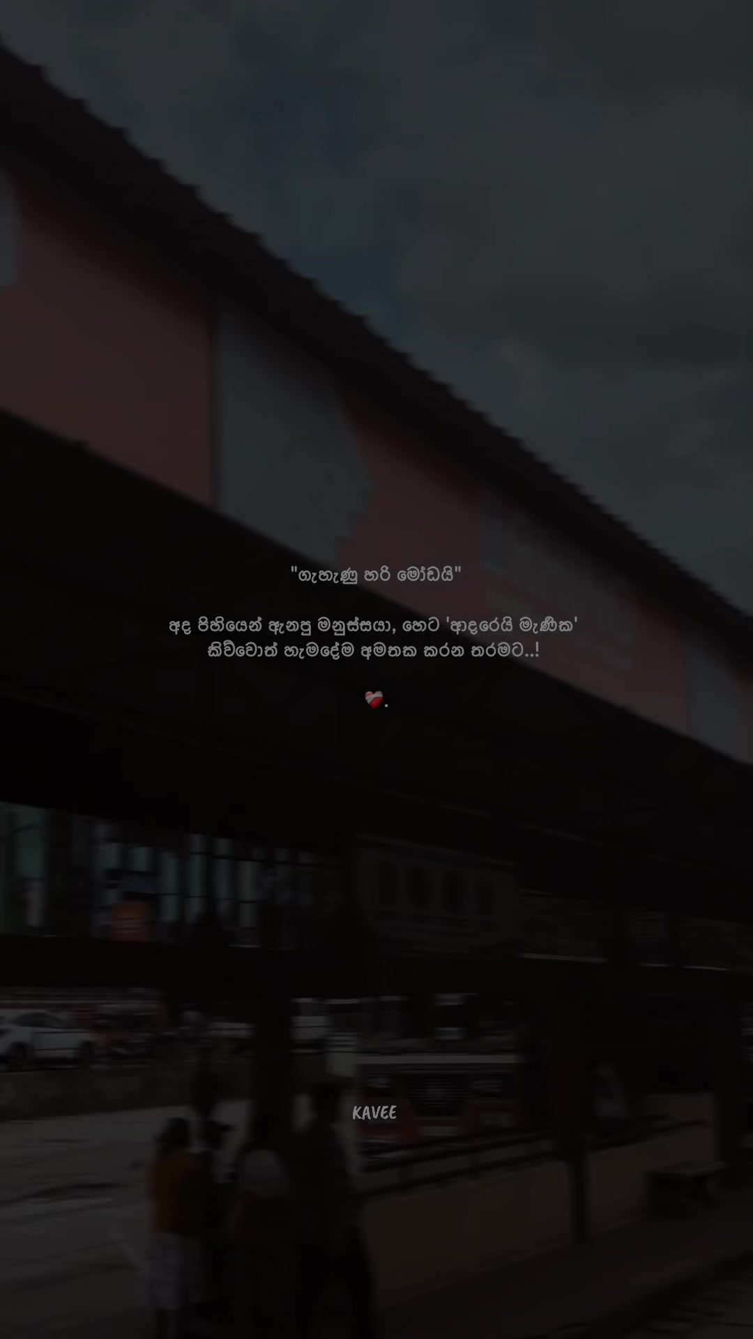 @𝑲 𝑨 𝑽 𝑬 𝑬 🪼