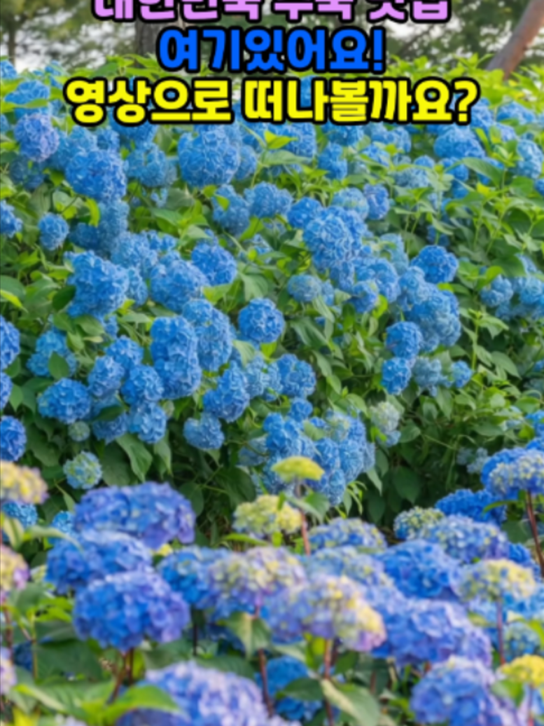 @꽃길