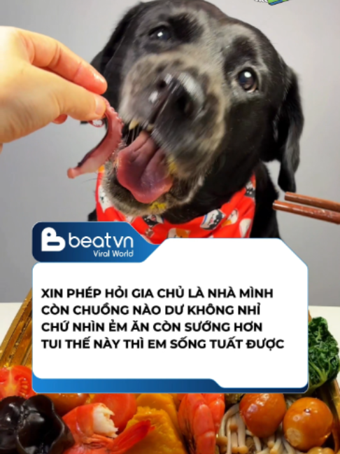 @Beatvn Viral World