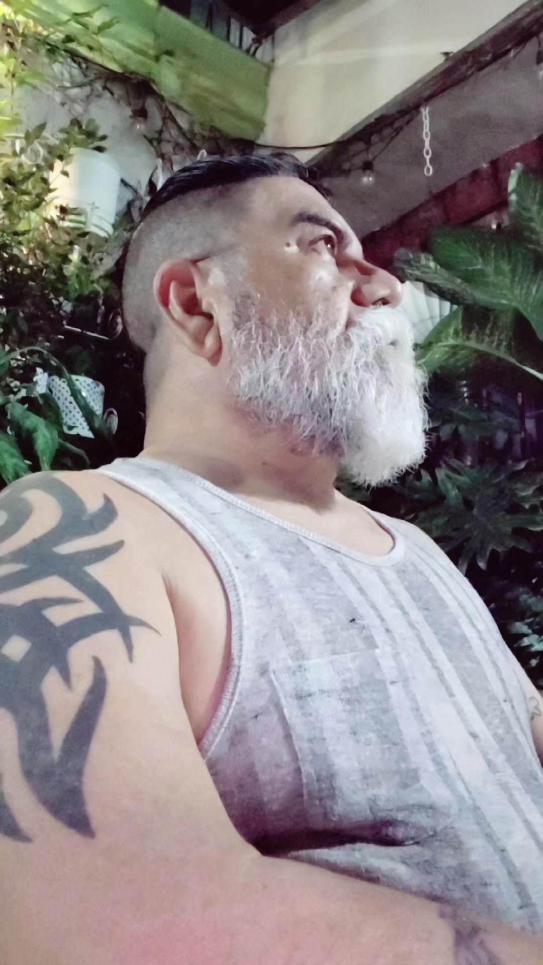 @Ernesto Torres Lopez