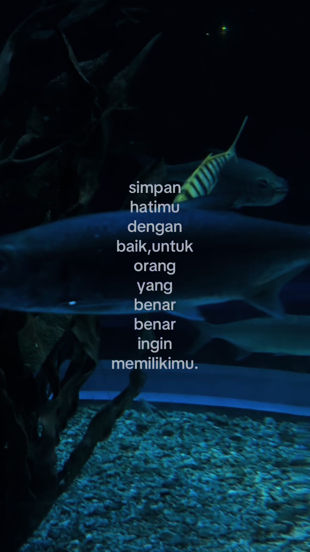 @𝗗𝗶𝗮𝗻𝘆