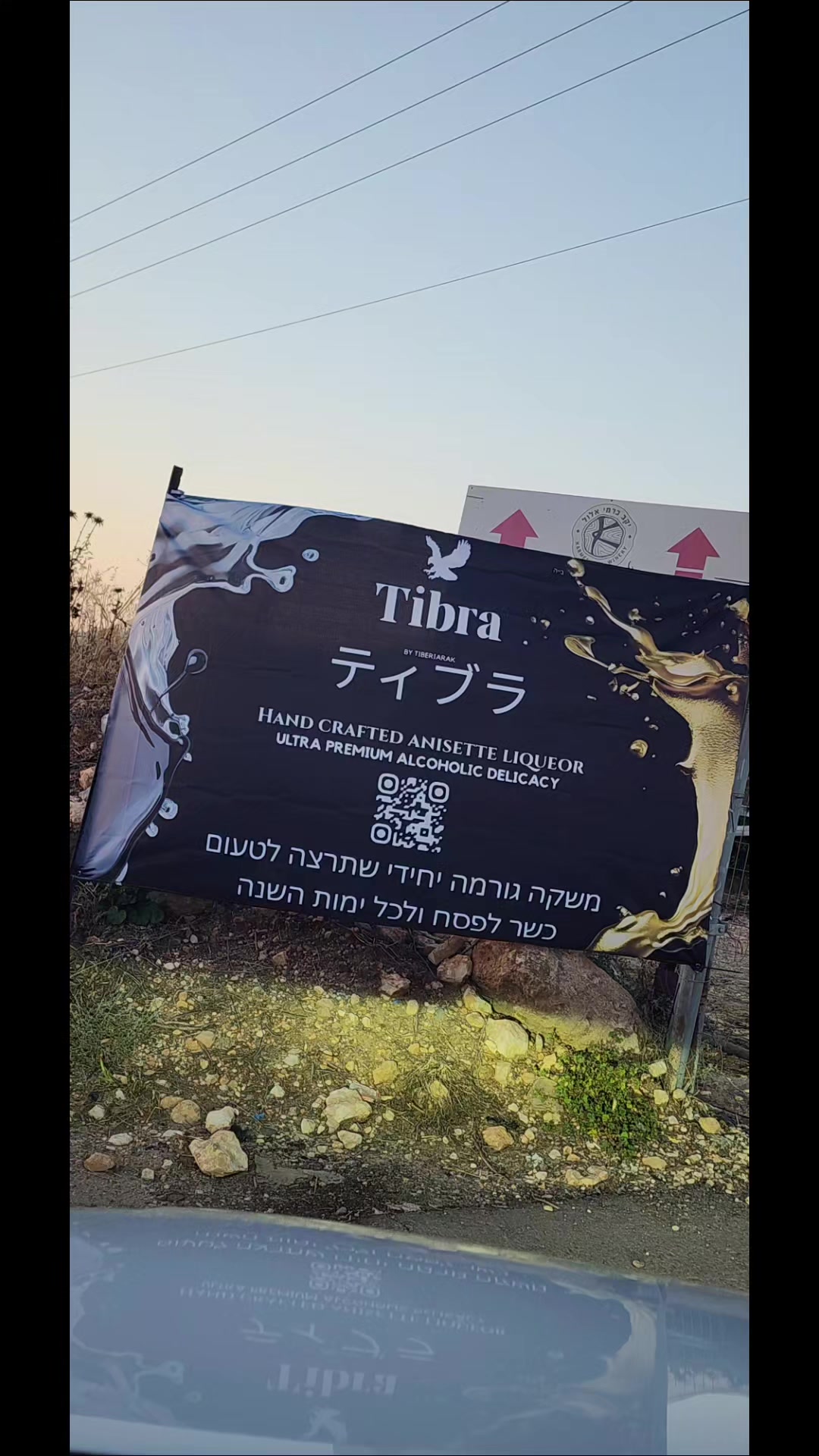 @טובי דרוק | מנגו הפקות