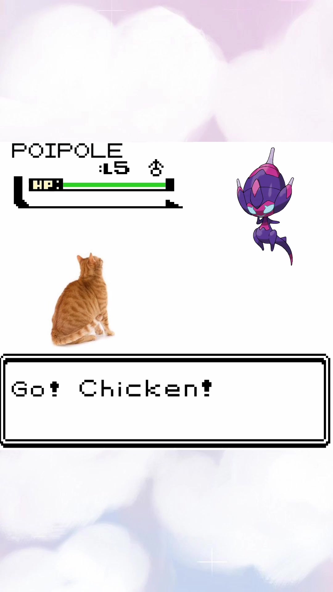 @hojiggle