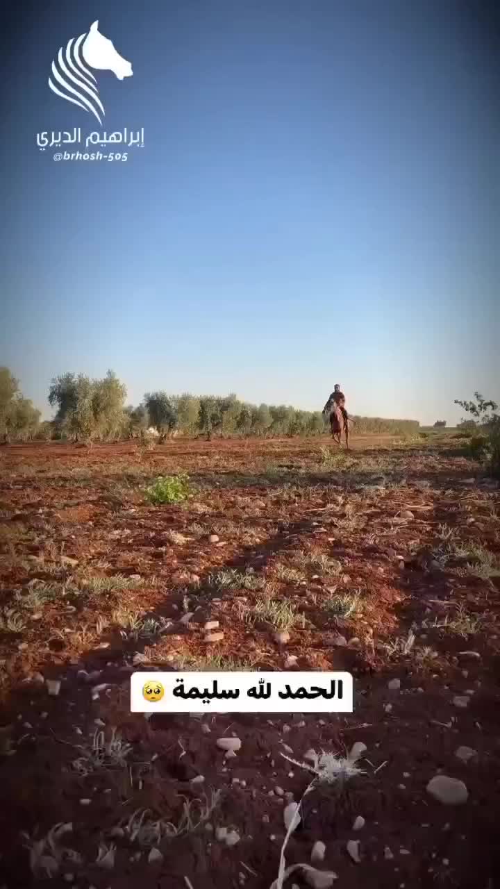 @حميد أبو الشيخ