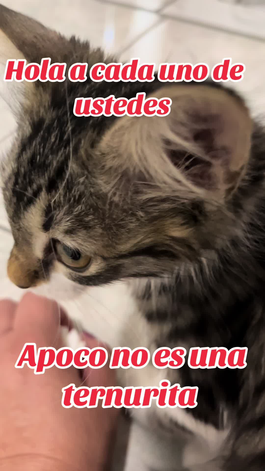 @DORISMAR