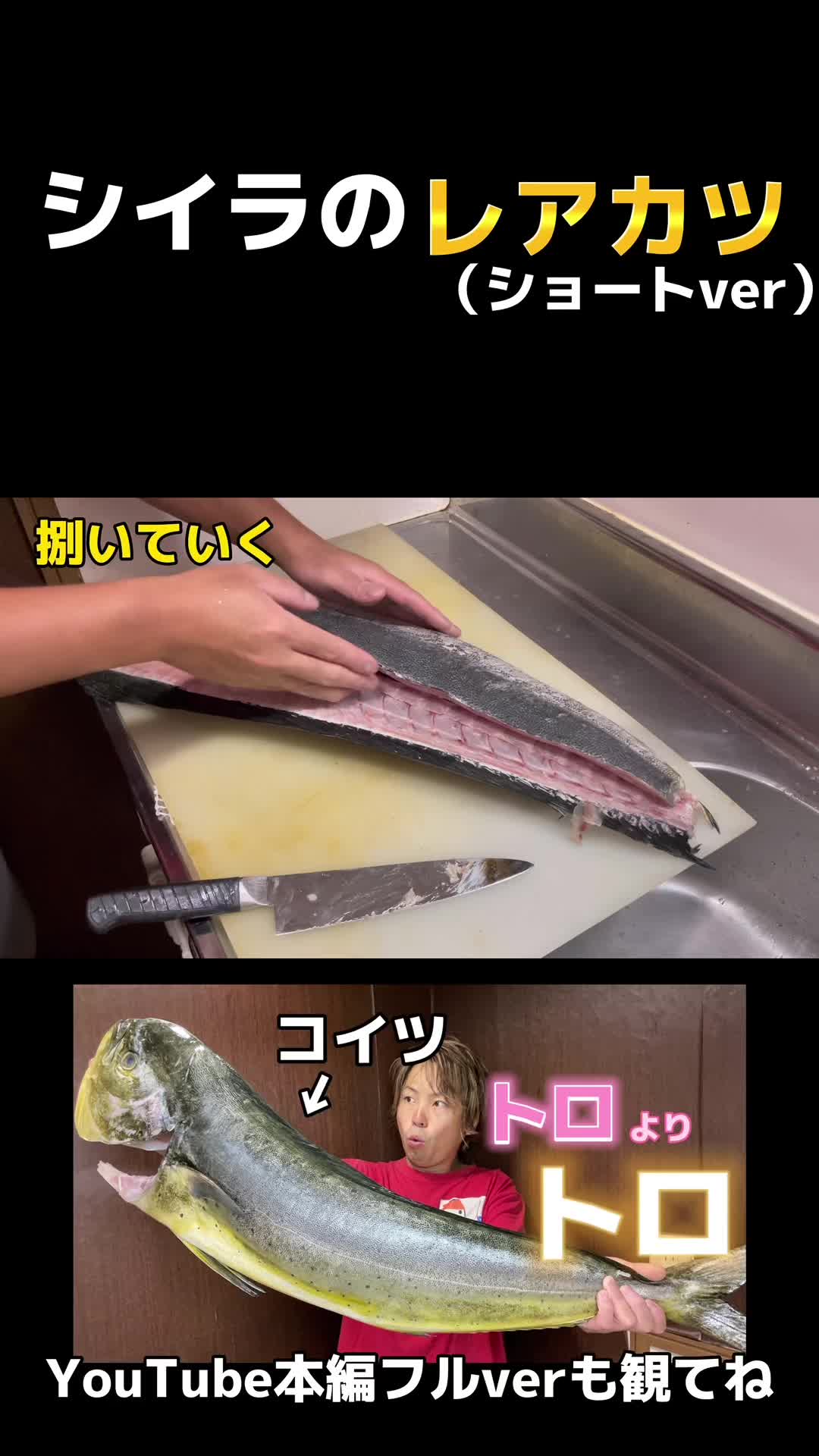 @俺たまご。