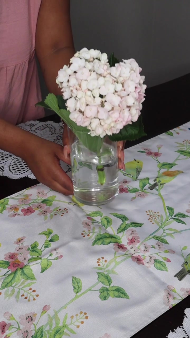 @Ebony Nikita Elegance