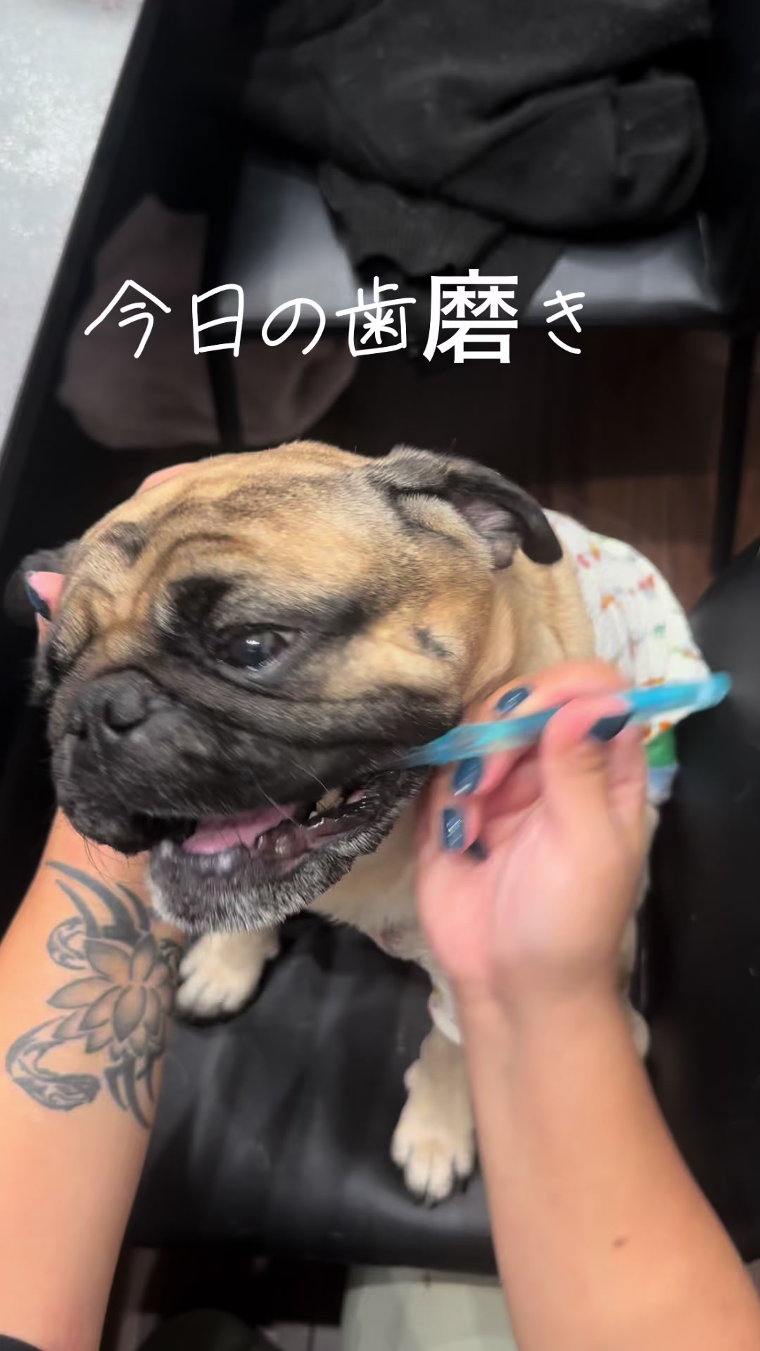 @のん&てん